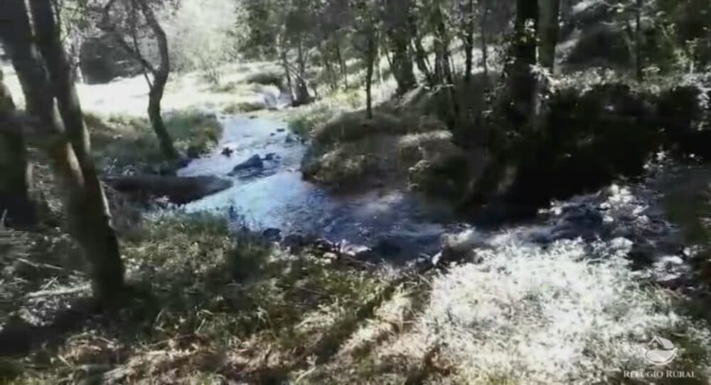 Terreno, 2 hectares - Foto 3