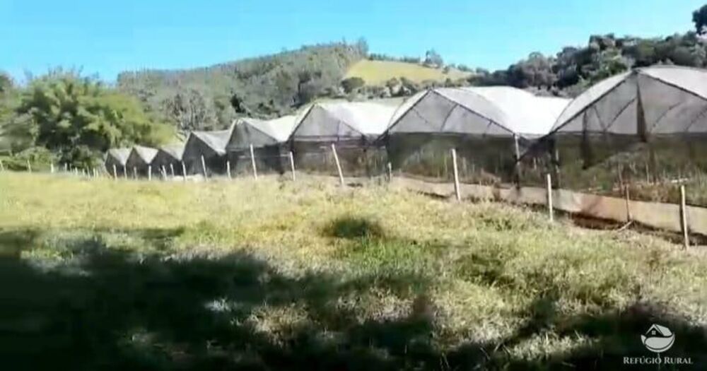 Terreno, 2 hectares - Foto 6