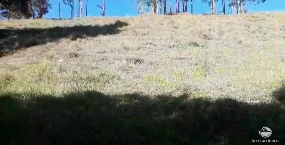 Terreno, 2 hectares - Foto 5