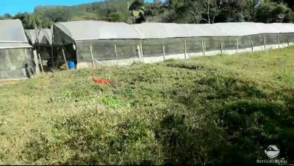 Terreno, 2 hectares - Foto 15