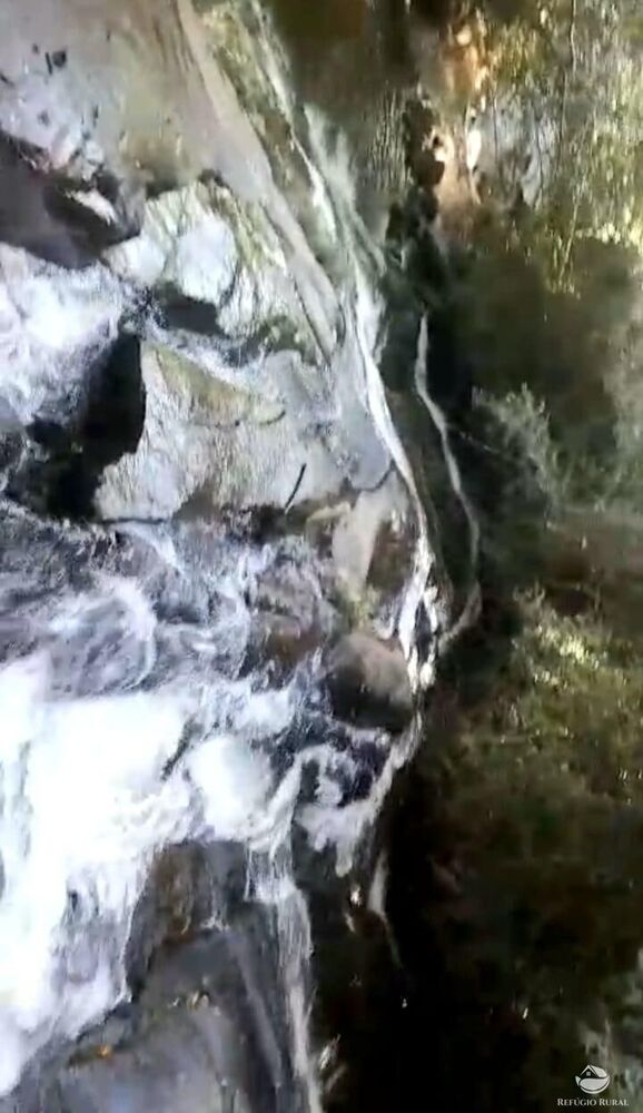 Terreno, 2 hectares - Foto 8