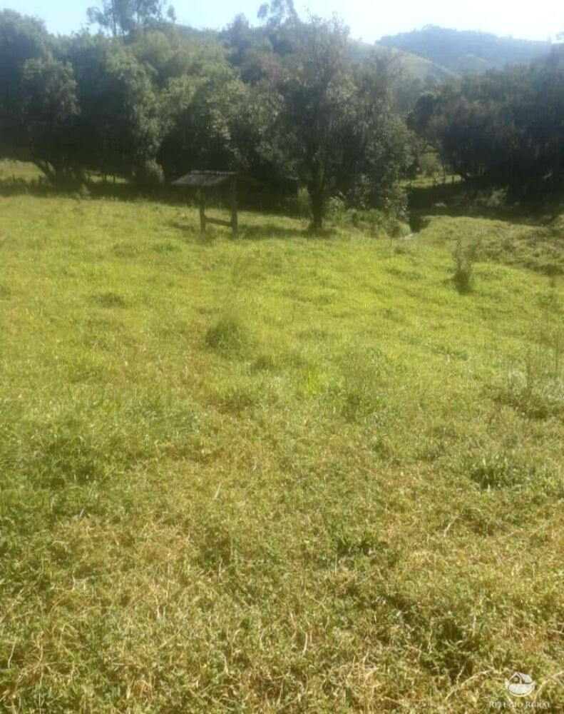 Terreno, 2 hectares - Foto 4