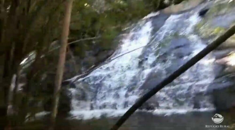 Terreno, 2 hectares - Foto 14