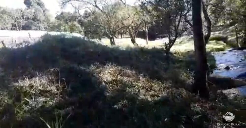 Terreno, 2 hectares - Foto 24