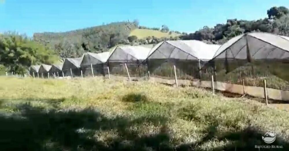 Terreno, 2 hectares - Foto 23