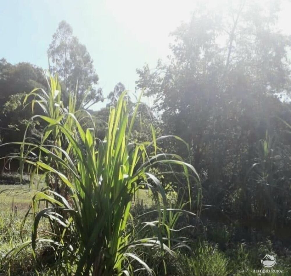 Terreno, 2 hectares - Foto 20