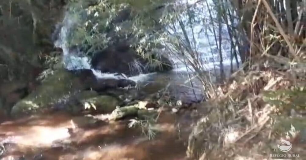 Terreno, 2 hectares - Foto 17