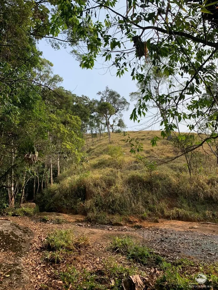Terreno, 2 hectares - Foto 1