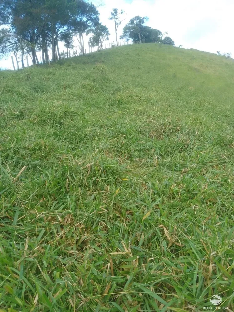 Terreno, 2 hectares - Foto 12