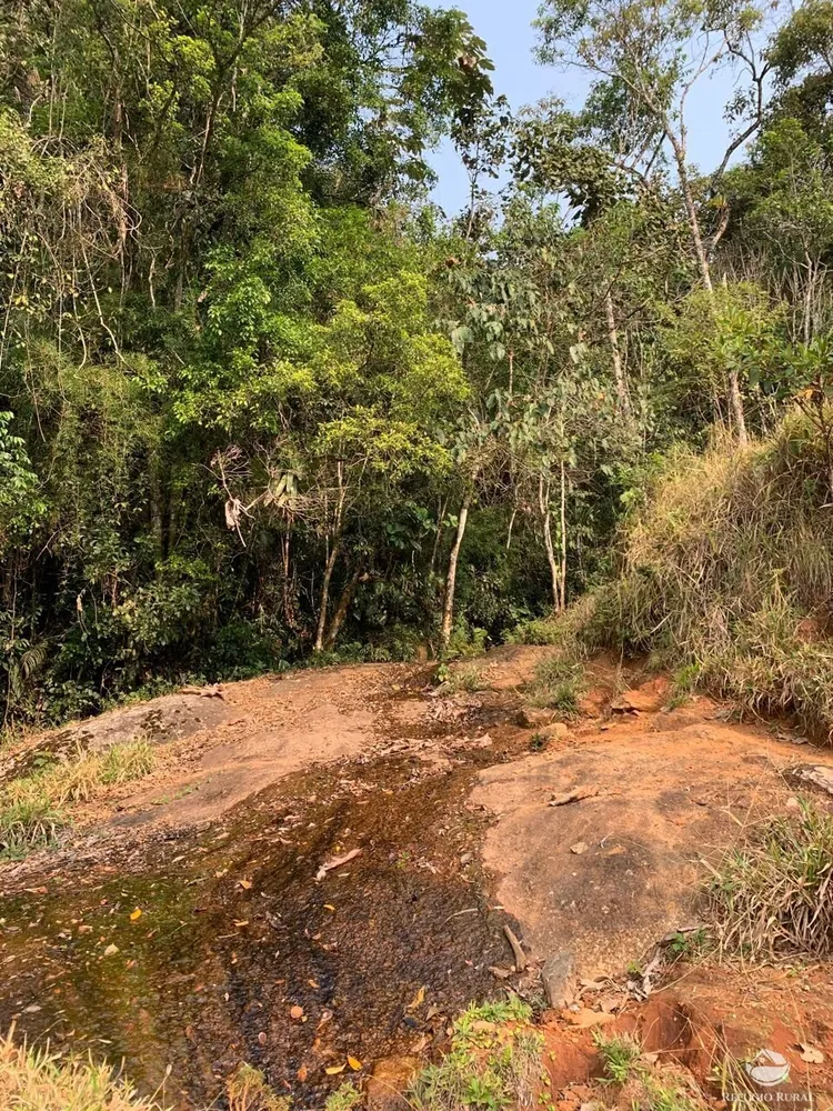 Terreno, 2 hectares - Foto 4
