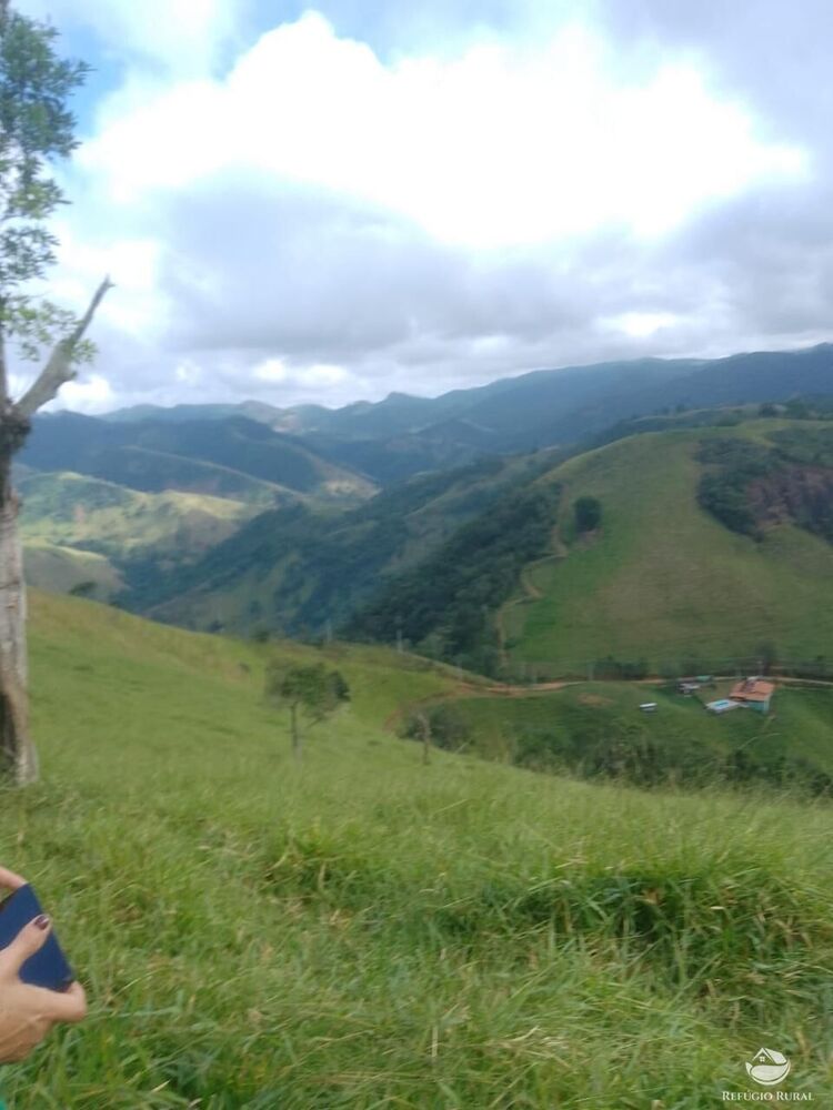 Terreno, 2 hectares - Foto 4