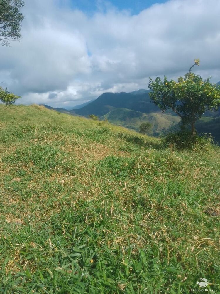 Terreno, 2 hectares - Foto 3