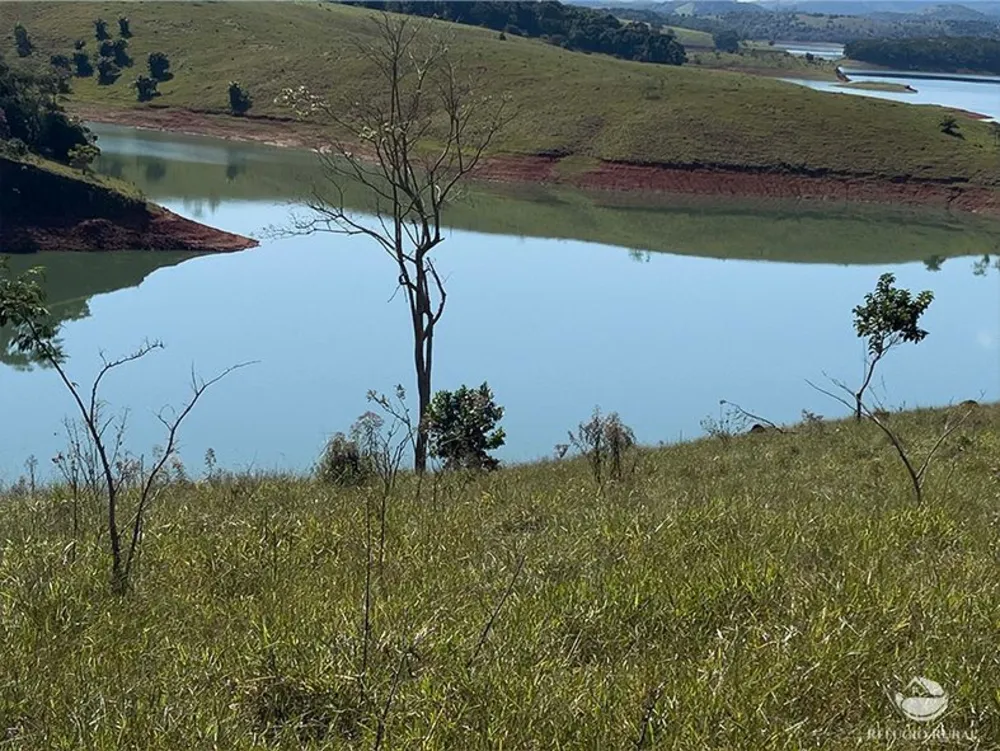 Terreno, 3 hectares - Foto 4
