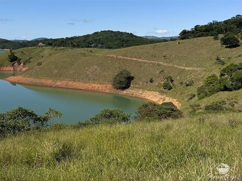 Terreno, 3 hectares - Foto 1