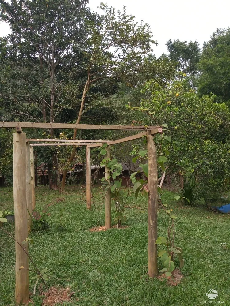 Chácara, 3 hectares - Foto 6