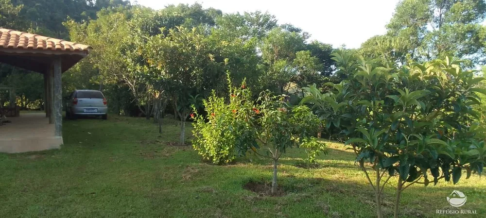 Chácara, 3 hectares - Foto 3