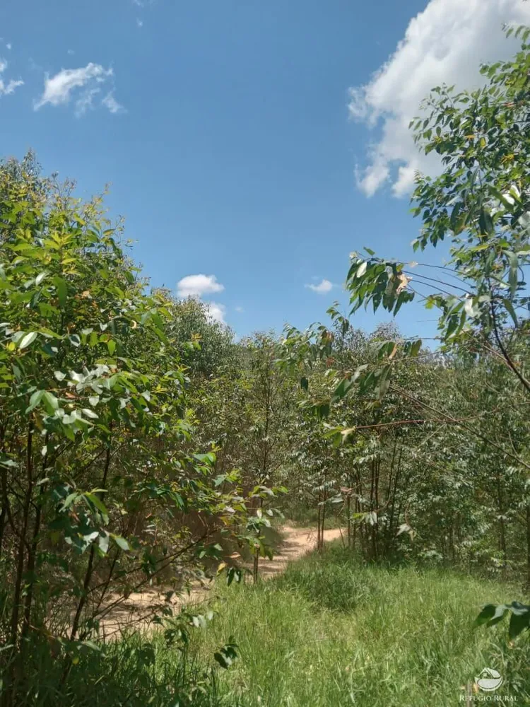Sítio, 27 hectares - Foto 3