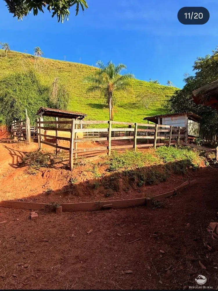 Sítio, 4 hectares - Foto 4