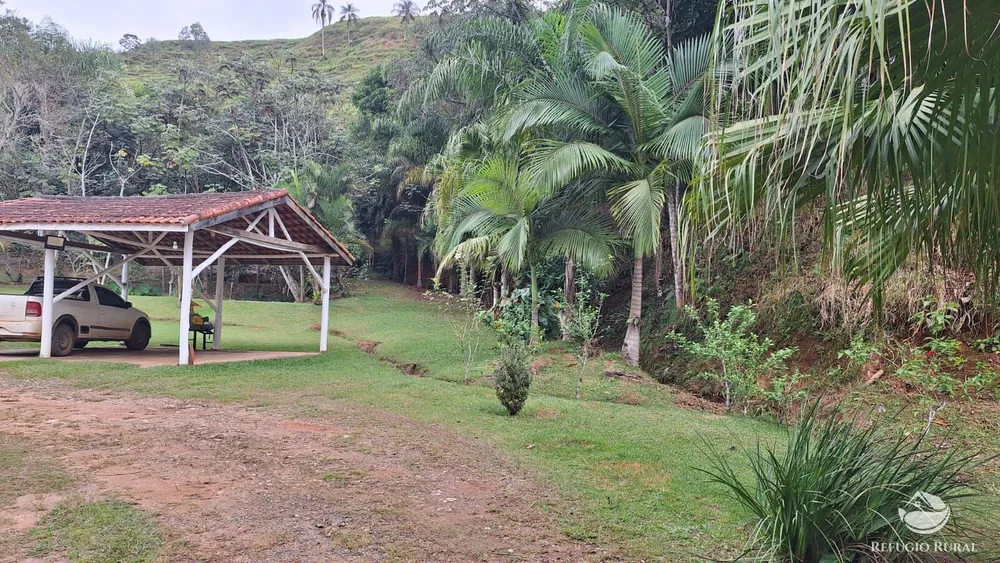Sítio, 4 hectares - Foto 14