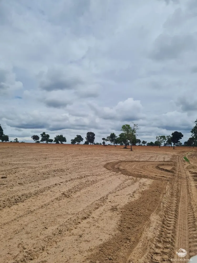 Fazenda, 6300 hectares - Foto 7