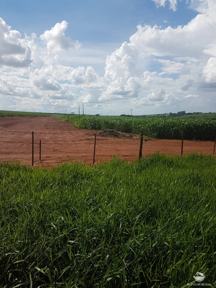 Fazenda, 6300 hectares - Foto 9