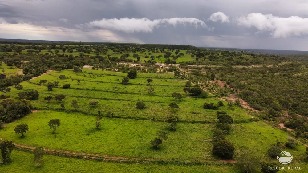 Fazenda, 6300 hectares - Foto 2
