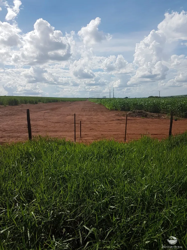 Fazenda, 6300 hectares - Foto 6