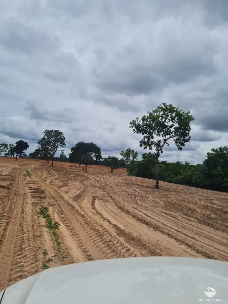 Fazenda, 6300 hectares - Foto 4
