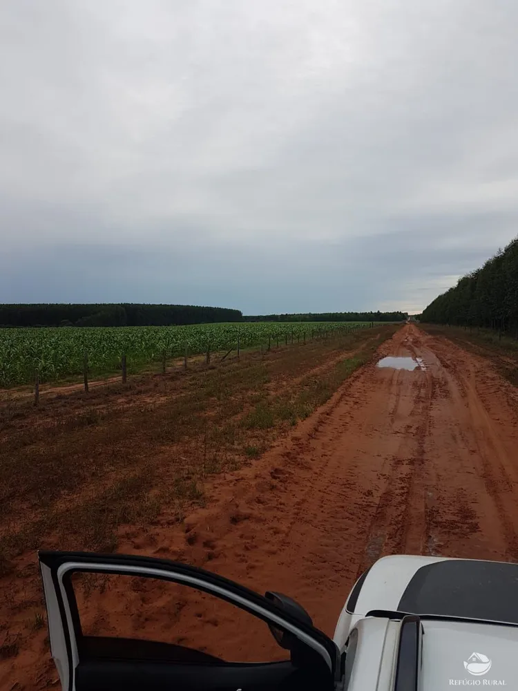 Fazenda, 6300 hectares - Foto 12
