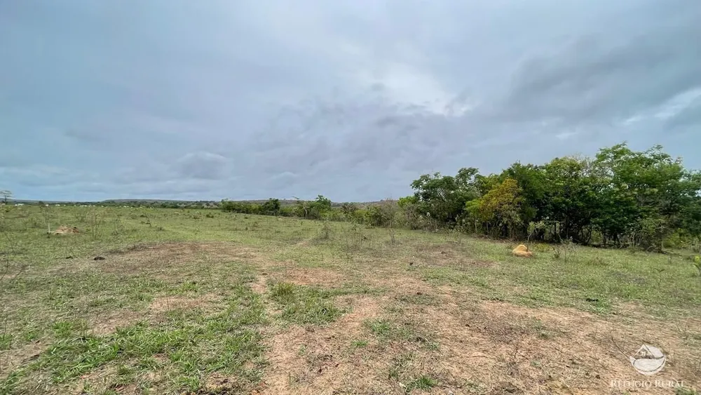 Fazenda, 6300 hectares - Foto 11
