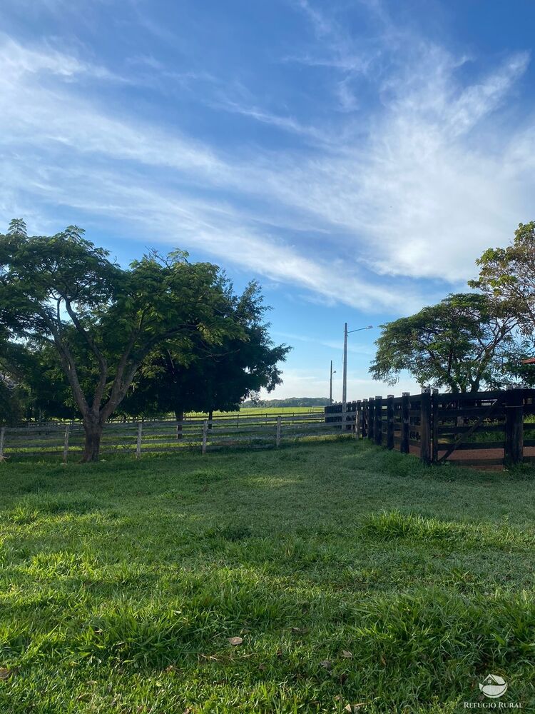 Fazenda à venda com 5 quartos, 12580000m² - Foto 2