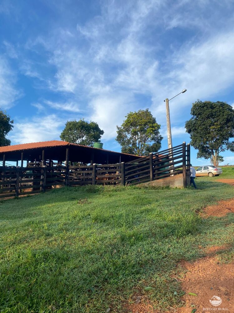 Fazenda à venda com 5 quartos, 12580000m² - Foto 4