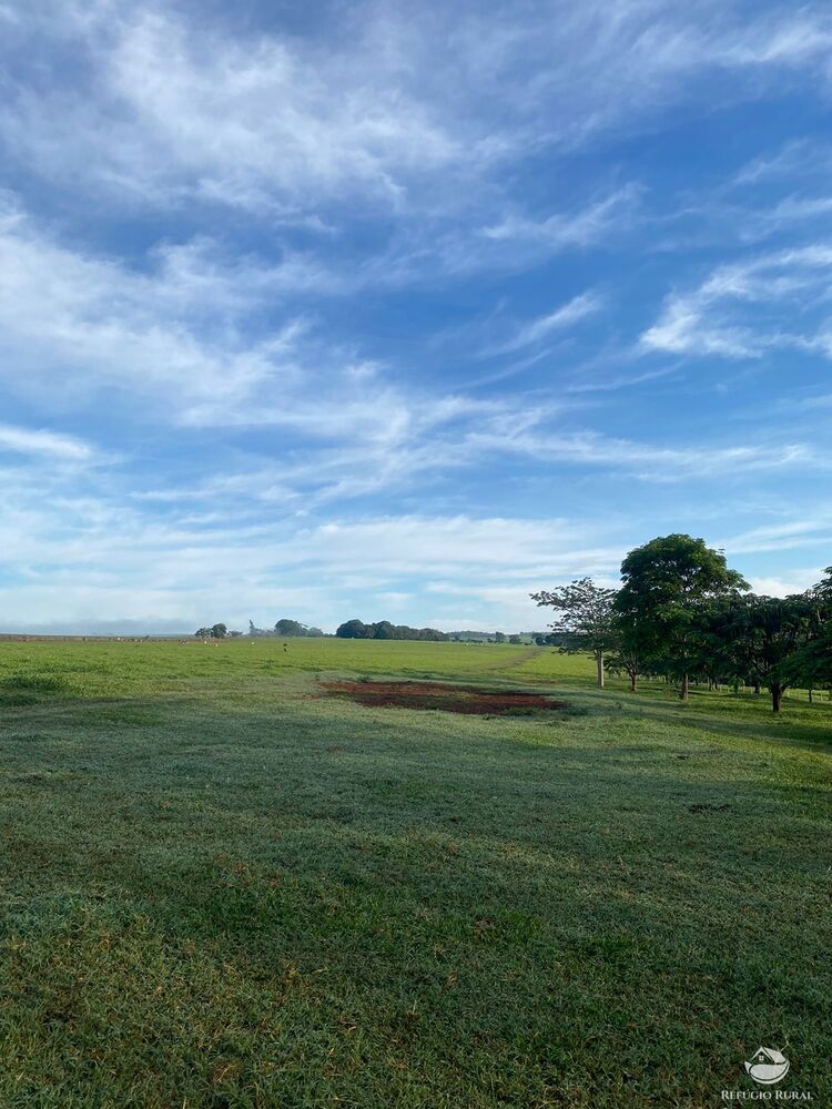 Fazenda à venda com 5 quartos, 12580000m² - Foto 3