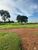 Fazenda, 1258 hectares - Foto 1