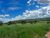 Fazenda-Sítio-Chácara, 1936 hectares - Foto 2
