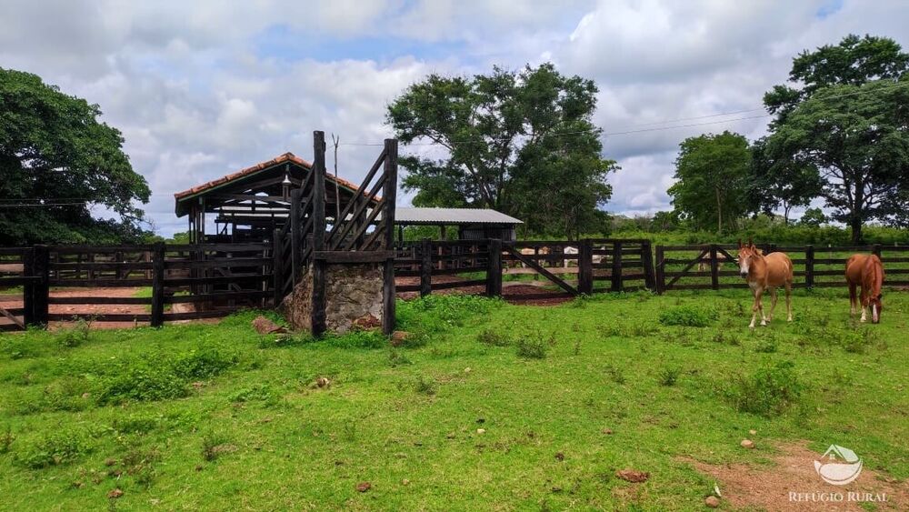 Fazenda, 789 hectares - Foto 7