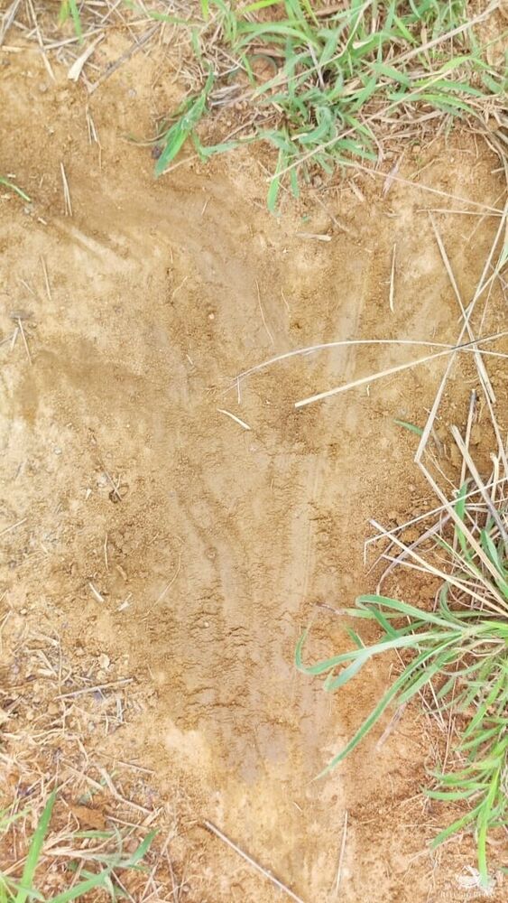 Fazenda, 789 hectares - Foto 25