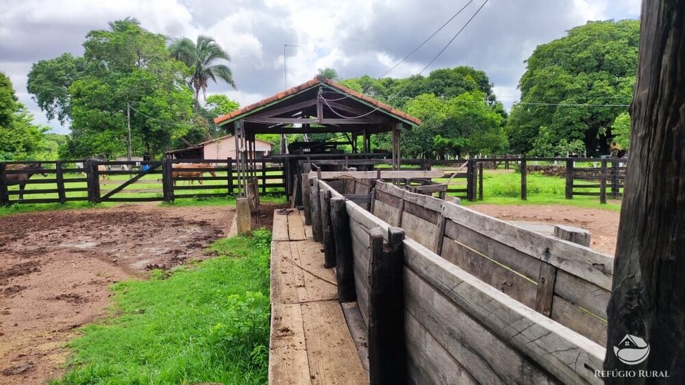 Fazenda, 789 hectares - Foto 14