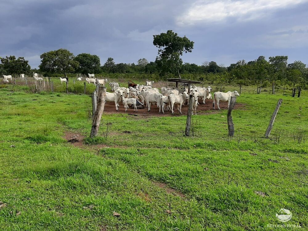 Fazenda, 789 hectares - Foto 4