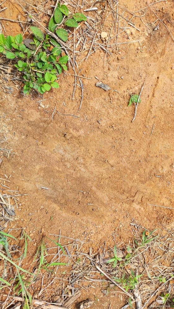 Fazenda, 789 hectares - Foto 26