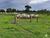 Fazenda-Sítio-Chácara, 789 hectares - Foto 4