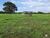 Fazenda-Sítio-Chácara, 789 hectares - Foto 3