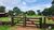 Fazenda-Sítio-Chácara, 789 hectares - Foto 1