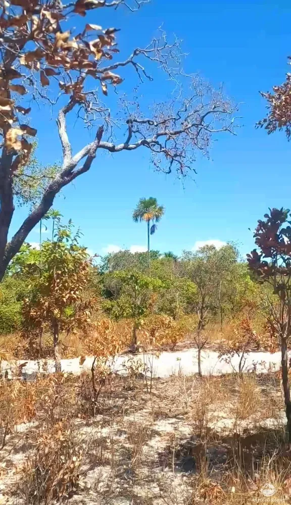 Terreno, 1 hectares - Foto 6