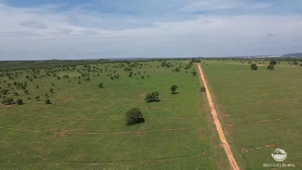 Fazenda, 726 hectares - Foto 5