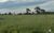 Fazenda-Sítio-Chácara, 2130 hectares - Foto 2