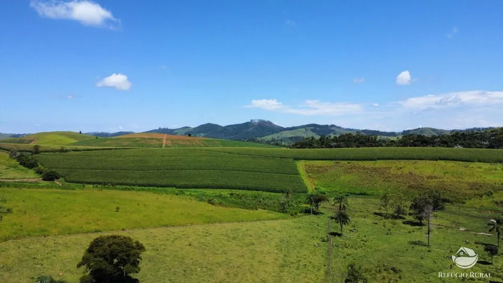 Fazenda, 82 hectares - Foto 9