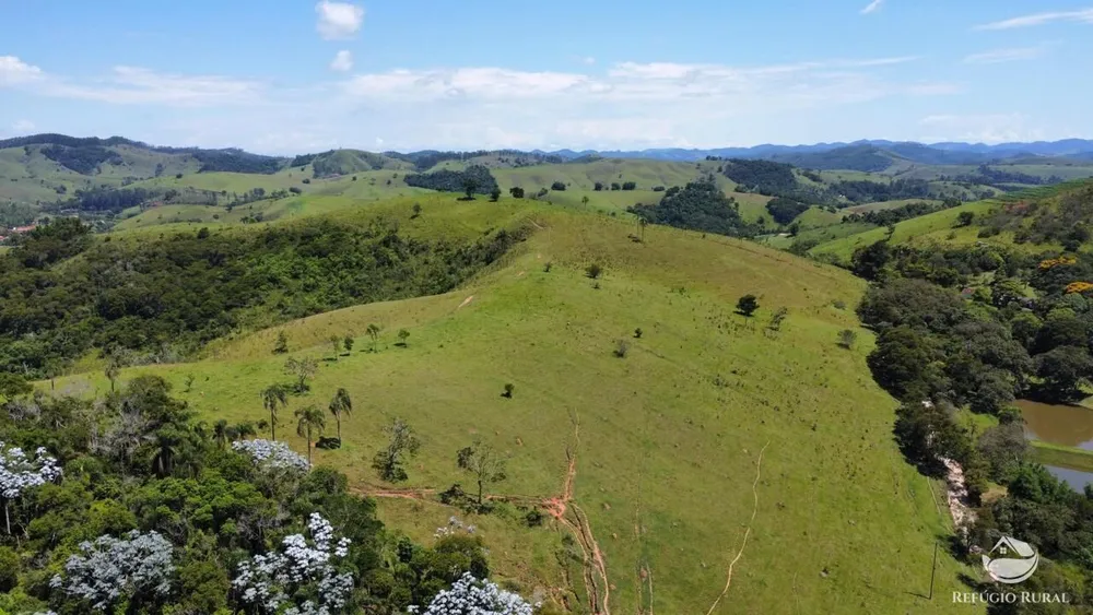 Fazenda, 82 hectares - Foto 3