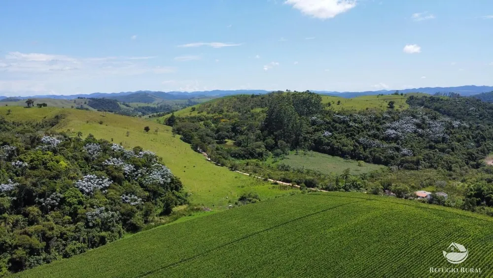 Fazenda, 82 hectares - Foto 5