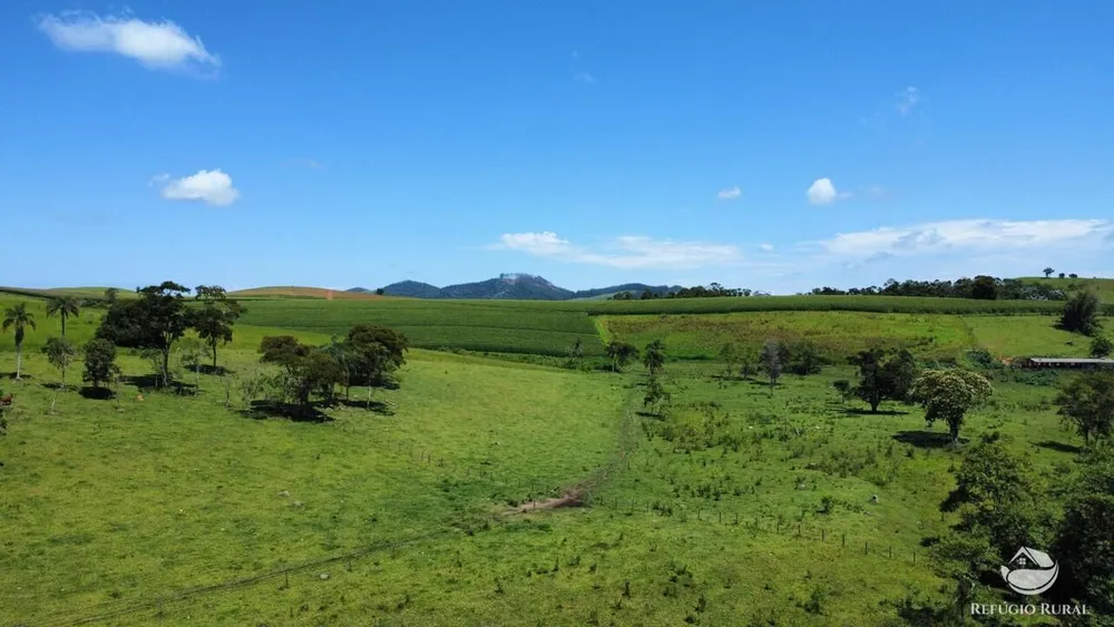 Fazenda, 82 hectares - Foto 10